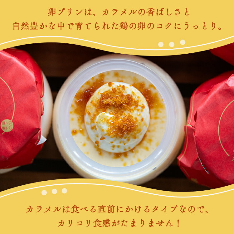 【ふるさと納税】土佐の贅沢プリン 5個 - 送料無料 ぷりん スイーツ 食後 デザート おやつ お菓子 おかし 洋菓子 ティータイム 熨斗 のし対応可 美味しい おいしい 甘い あまい たまご 香ばしい カラメル 菓子工房コンセルト 高知県 香南市【冷凍】 - 画像2