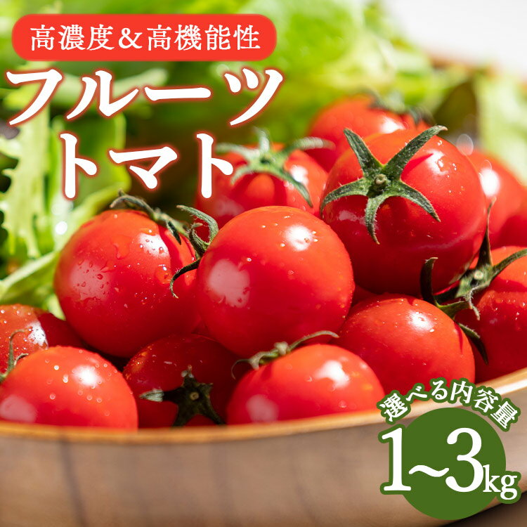 【先行予約】高糖度＆高機能性 フルーツトマト（選べる：約1kg/約1.8kg/約2kg/約3kg）- 甘美の舞 野菜 とまと 完熟 甘い ミニトマト サラダ 新鮮 産地直送 5,000円以上 高知県 香南市 レビューキャンペーン ギフト トマトジュース ダイエット ヘルシー