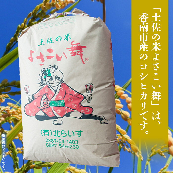 【ふるさと納税】令和7年産 お米 おいしいコシヒカリ！土佐の米 よさこい舞 5kg - 米 精米 白米 こしひかり どうぞ 穀物 kome 5キロ 高知県 香南市【常温】kr-0071 - 画像2