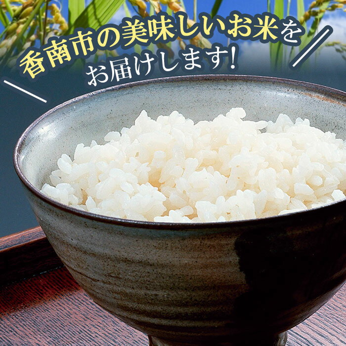 【ふるさと納税】令和7年産 お米 おいしいコシヒカリ！土佐の米 よさこい舞 5kg - 米 精米 白米 こしひかり どうぞ 穀物 kome 5キロ 高知県 香南市【常温】kr-0071 - 画像3