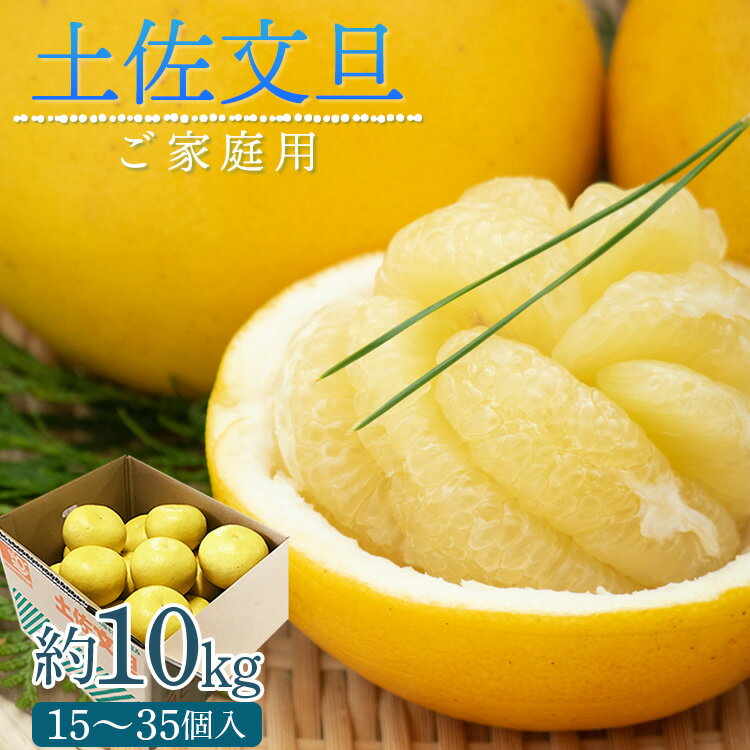 【令和9年1月下旬発送開始】訳あり 土佐文旦 家庭用 約10kg（M〜4Lサイズ 15〜35玉）2026年出荷 - 果物 フルーツ 柑橘 ぶんたん ブンタン 期間限定 訳アリ キズ 特産品 送料無料 産地直送 JA 高知県農業協同組合 香南市【常温】ku-0058