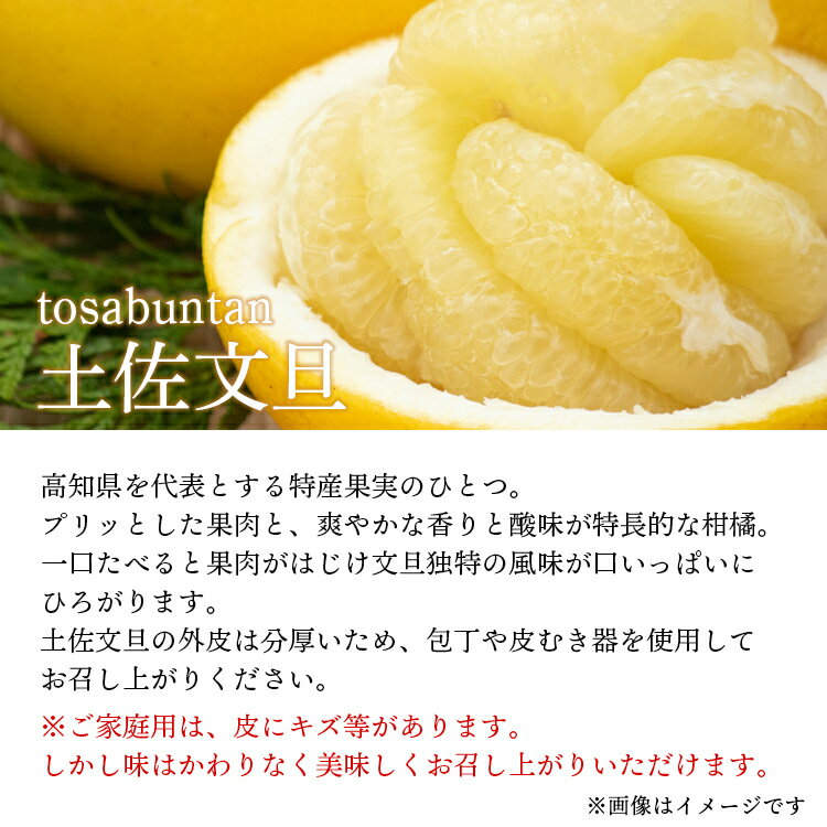 【ふるさと納税】【令和9年1月下旬発送開始】訳あり 土佐文旦 家庭用 約10kg（M〜4Lサイズ 15〜35玉）2026年出荷 - 果物 フルーツ 柑橘 ぶんたん ブンタン 期間限定 訳アリ キズ 特産品 送料無料 産地直送 JA 高知県農業協同組合 香南市【常温】ku-0058 - 画像3
