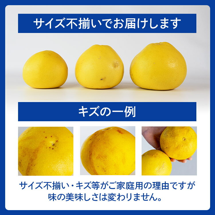 【ふるさと納税】【令和9年1月下旬発送開始】訳あり 土佐文旦 家庭用 約10kg（M〜4Lサイズ 15〜35玉）2026年出荷 - 果物 フルーツ 柑橘 ぶんたん ブンタン 期間限定 訳アリ キズ 特産品 送料無料 産地直送 JA 高知県農業協同組合 香南市【常温】ku-0058 - 画像2