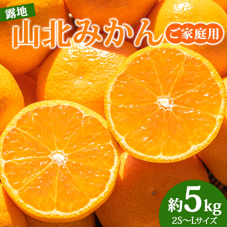 【令和8年10月下旬発送開始】訳あり 数量限定 山北みかん 約5kg（家庭用・露地栽培） 果物 フルーツ 温州みかん 糖度 ミカン みかん mikan 小玉大玉 ジュース S M s m ふるさと納税みかん 甘い 送料無料 10000円以上 1万円以上 高知県 香南市【常温】ku-0054