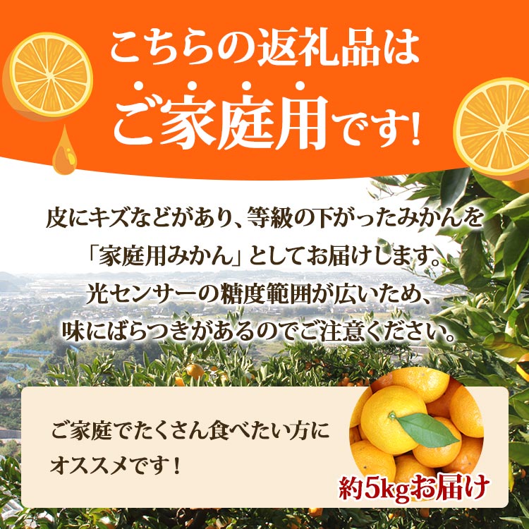 【ふるさと納税】【令和8年10月下旬発送開始】訳あり 数量限定 山北みかん 約5kg（家庭用・露地栽培） 果物 フルーツ 温州みかん 糖度 ミカン みかん mikan 小玉大玉 ジュース S M s m ふるさと納税みかん 甘い 送料無料 10000円以上 1万円以上 高知県 香南市【常温】ku-0054 - 画像2