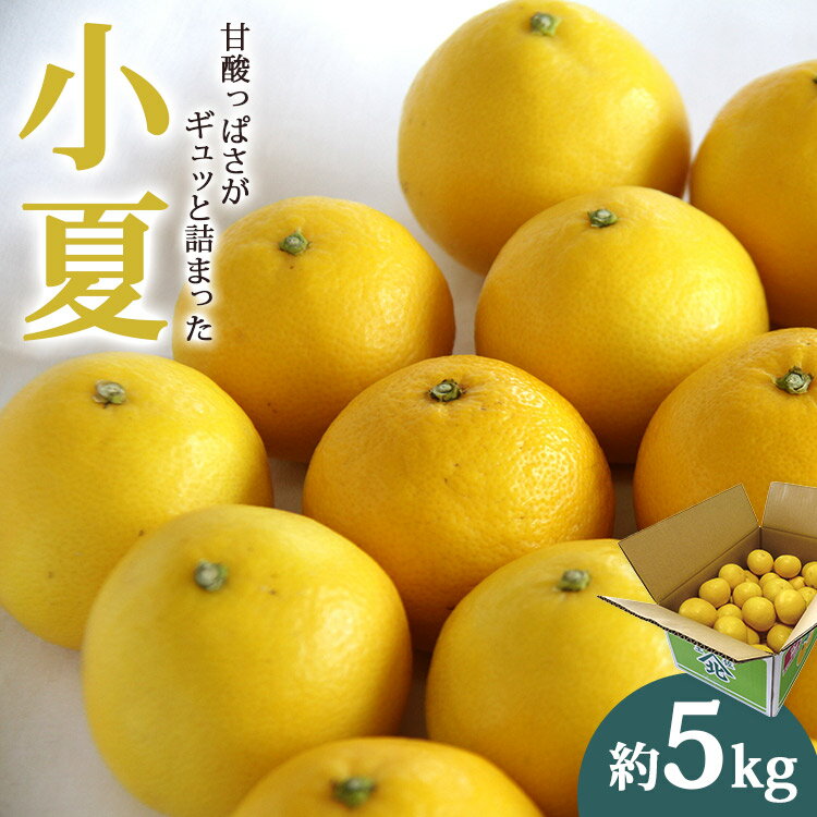 【先行予約】小夏（日向夏）約5kg - 2026年3月より順次配送 果物 柑橘 フルーツ くだもの ひゅうがなつ ニューサマーオレンジ 甘酸っぱさがギュッと詰まった 期間限定 のし対応可 送料無料 高知県 香南市【常温】