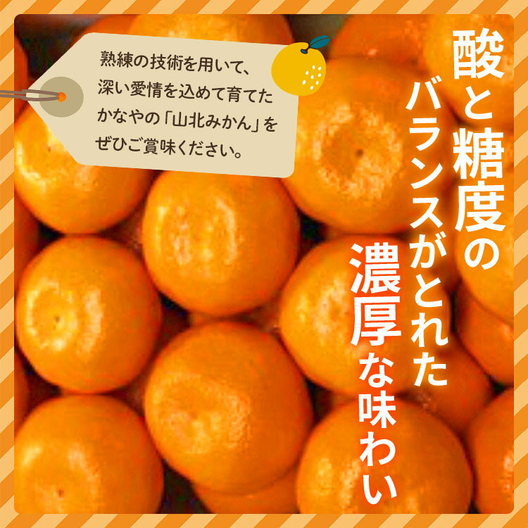 【ふるさと納税】【年末配送可能】土佐乃かなや マルチ 山北みかん 約5kg - 送料無料 フルーツ 果物 くだもの 温州みかん ミカン 柑橘 甘い おいしい 旬 季節限定 かなや農園 合同会社Benifare 国産 特産品 年末配送 年内配送 高知県 香南市【常温】 サムネイル3