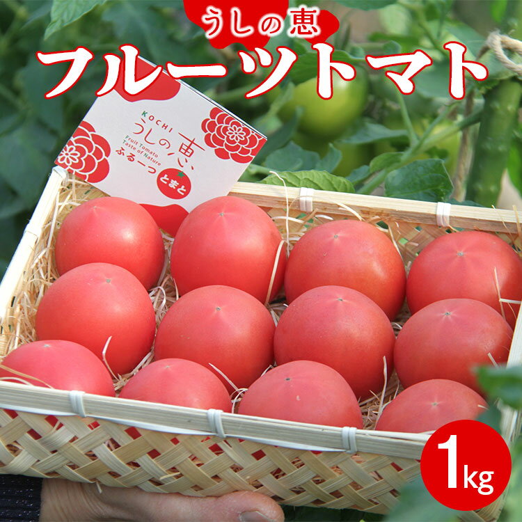数量限定 うしの恵 フルーツトマト 籠入り 約1kg - 野菜 とまと 美味しい 料理 期間限定 フルーツ トマト 送料無料 産地直送 完熟トマト とまと ギフト 贈り物 贈答用 のし 熨斗 季節品 高知県 香南市【常温】