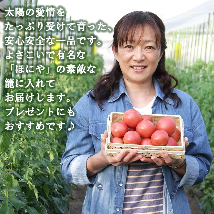【ふるさと納税】数量限定 うしの恵 フルーツトマト 籠入り 約1kg - 野菜 とまと 美味しい 料理 期間限定 フルーツ トマト 送料無料 産地直送 完熟トマト とまと ギフト 贈り物 贈答用 のし 熨斗 季節品 高知県 香南市【常温】 - 画像3