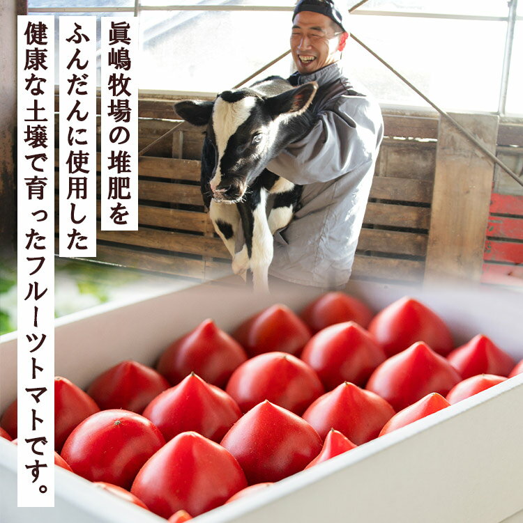 【ふるさと納税】【選べる内容量】数量限定 うしの恵 フルーツトマト (約1kg/約2kg) - 送料無料 期間限定 野菜 とまと 産地直送 料理 アレンジ サラダ 鍋 サンドイッチ 完熟 リコピン 甘い あまい フレッシュ さっぱり 贈答 お礼 御礼 おいしい 国産 高知県 香南市【常温】 - 画像2