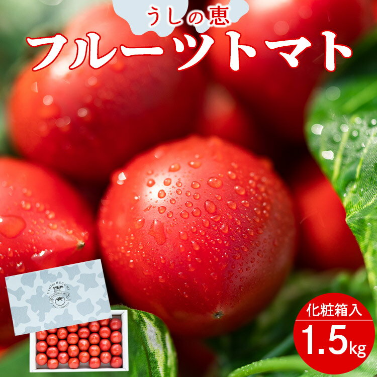 【数量限定】うしの恵 フルーツトマト 化粧箱入り 約1.5kg - 野菜 とまと 産地直送 2026年発送 料理 アレンジ サラダ 鍋 サンドイッチ 完熟 甘い あまい フレッシュ さっぱり 酸味 ギフト 贈答 お礼 御礼 おいしい 国産 高知県 香南市【常温】