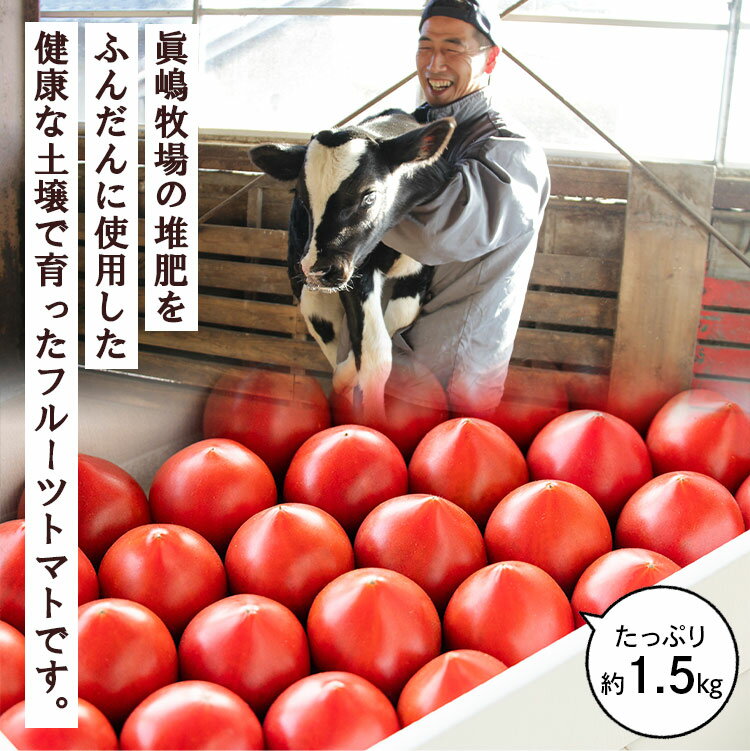 【ふるさと納税】【数量限定】うしの恵 フルーツトマト 化粧箱入り 約1.5kg - 野菜 とまと 産地直送 2026年発送 料理 アレンジ サラダ 鍋 サンドイッチ 完熟 甘い あまい フレッシュ さっぱり 酸味 ギフト 贈答 お礼 御礼 おいしい 国産 高知県 香南市【常温】 - 画像2