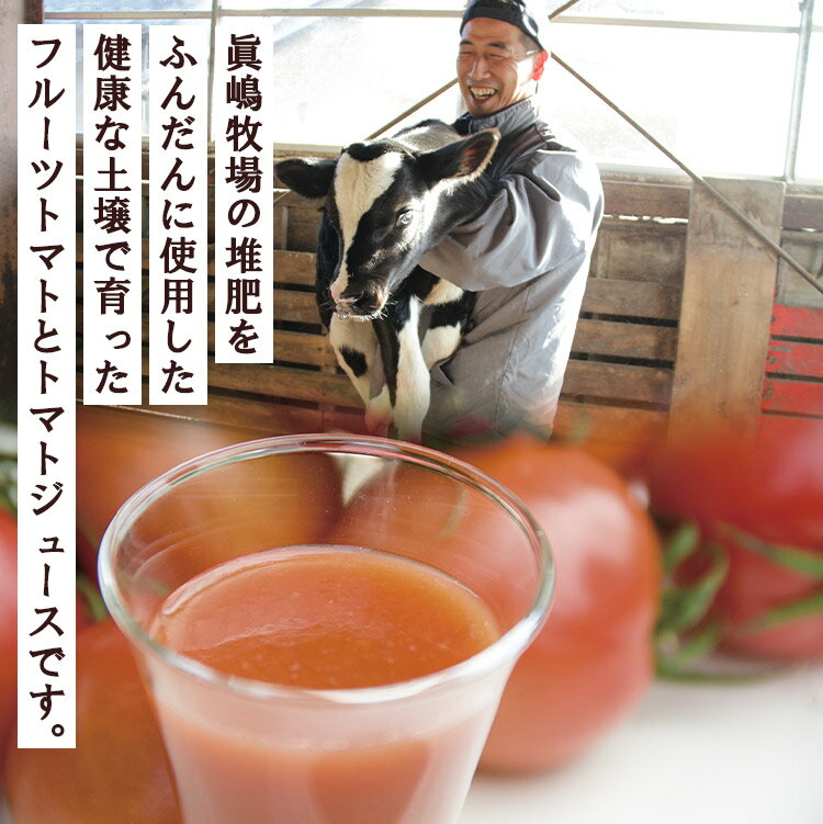 【ふるさと納税】数量限定 うしの恵 フルトマ籠のセット（フルーツトマト500g+ジュース2本） - フルーツ トマト トマトジュース 野菜 とまと 期間限定 送料無料 産地直送 ギフト 贈り物 季節品 のし 配送日指定不可 高知県 香南市【常温】 - 画像2