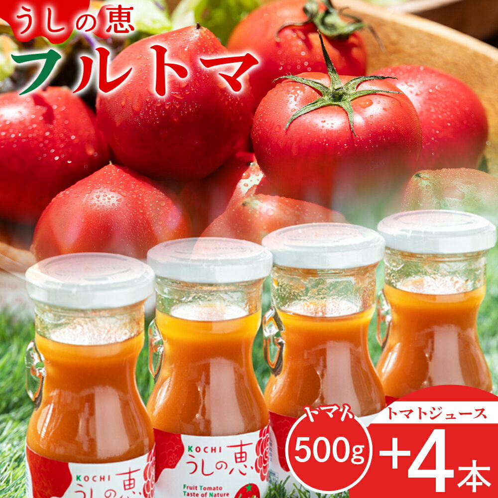 野菜ソムリエが育てた うしの惠フルーツトマト500g＋トマトジュース4本 - セット フルーツ トマト トマトジュース 野菜 青果 飲料 飲み物 野菜ジュース とまと 期間限定 産地直送 ギフト 贈り物 季節品 眞嶋農園 高知県 香南市【常温】 mj-0026