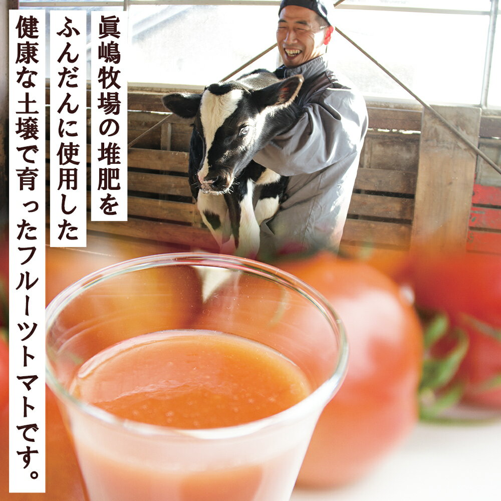 【ふるさと納税】野菜ソムリエが育てた うしの惠フルーツトマト500g＋トマトジュース4本 - セット フルーツ トマト トマトジュース 野菜 青果 飲料 飲み物 野菜ジュース とまと 期間限定 産地直送 ギフト 贈り物 季節品 眞嶋農園 高知県 香南市【常温】 mj-0026 - 画像2