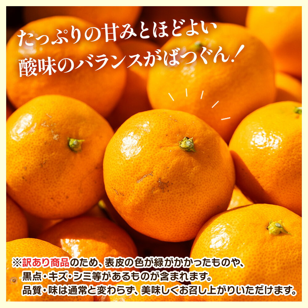 【ふるさと納税】【選べる内容量】【2025年出荷分】【訳あり】露地みかん(2S〜Mサイズ) 約5kg/約10kg/約15kg ＋約100g (傷み補償分) - 果物 くだもの フルーツ 果実 柑橘 かんきつ 蜜柑 みかん ミカン 果汁 期間限定 訳アリ 家庭用 キズ 傷 丸萬農園 高知県 香南市【常温】 サムネイル2
