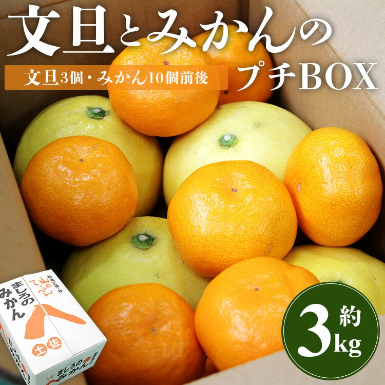 【先行予約】文旦とみかんのプチBOX 約3kg - 果物 くだもの フルーツ 柑橘類 ぶんたん ブンタン ミカン 詰め合わせ つめあわせ セット 食べ比べ お楽しみ お試し おいしい 特産品 間城農園 高知県 香南市【常温】ms-0040