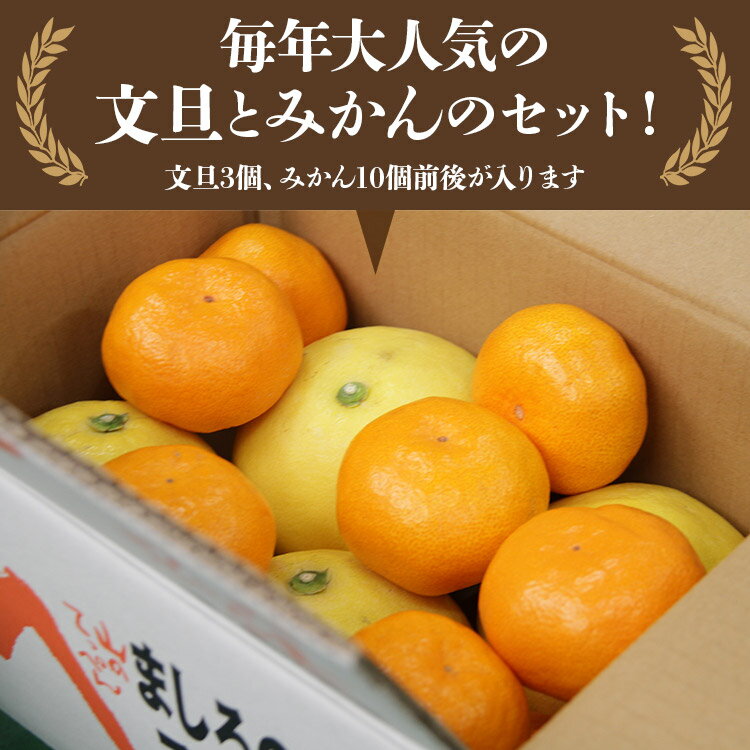 【ふるさと納税】【先行予約】文旦とみかんのプチBOX 約3kg - 果物 くだもの フルーツ 柑橘類 ぶんたん ブンタン ミカン 詰め合わせ つめあわせ セット 食べ比べ お楽しみ お試し おいしい 特産品 間城農園 高知県 香南市【常温】ms-0040 サムネイル2