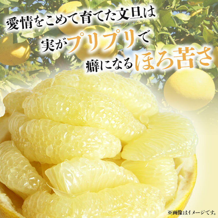 【ふるさと納税】【先行予約】土佐文旦 (大玉 2L〜4Lサイズ)（選べる：約3kg/5kg/7kg/10kg） - 期間 数量限定 果物 くだもの フルーツ 柑橘類 ぶんたん ブンタン 分担 フレッシュ ジューシー 間城農園 ザボン ボンタン 冬ギフト 食べ方 特産品 贈答 高知県 香南市【常温】 サムネイル2