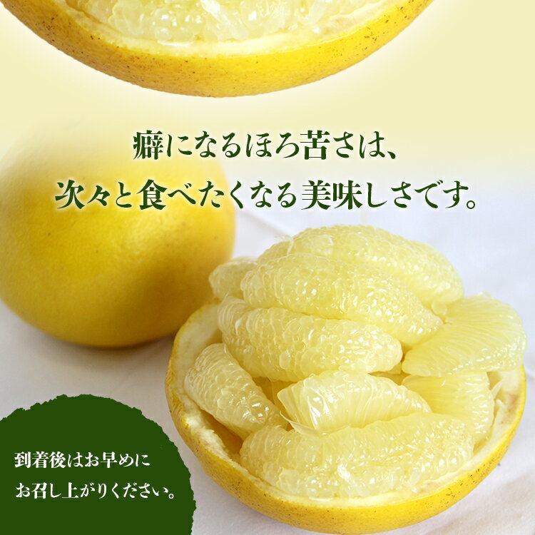 【ふるさと納税】【先行予約】土佐文旦 (大玉 2L〜4Lサイズ)（選べる：約3kg/5kg/7kg/10kg） - 期間 数量限定 果物 くだもの フルーツ 柑橘類 ぶんたん ブンタン 分担 フレッシュ ジューシー 間城農園 ザボン ボンタン 冬ギフト 食べ方 特産品 贈答 高知県 香南市【常温】 サムネイル3