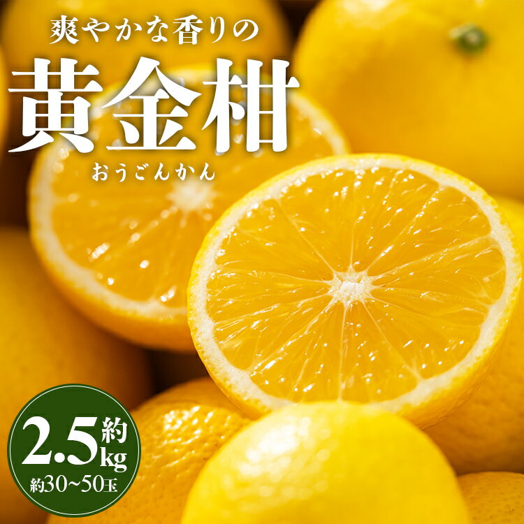 間城農園 爽やかな香りの黄金柑（おうごんかん）約2.5kg - 送料無料 フルーツ 果物 くだもの ゴールデンオレンジ 柑橘 数量限定 期間限定 配送時期期間限定 高知県 香南市【常温】 ms-0044