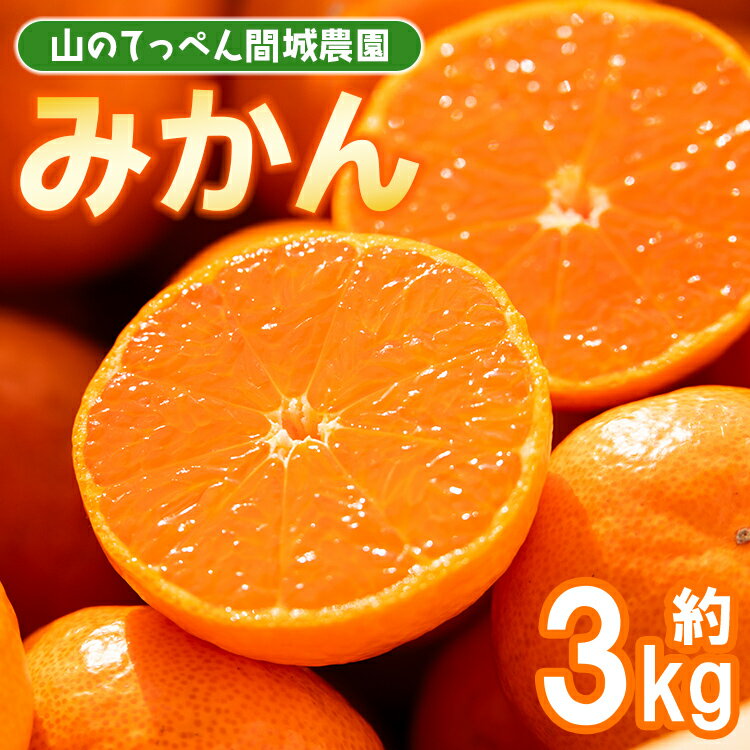 【数量限定】山のてっぺん 間城農園 みかん 約3kg - 送料無料 温州みかん ミカン 蜜柑 フルーツ 柑橘 果物 くだもの 甘い あまい おいしい 期間限定 配送日指定不可 高知県 香南市【常温】ms-0045
