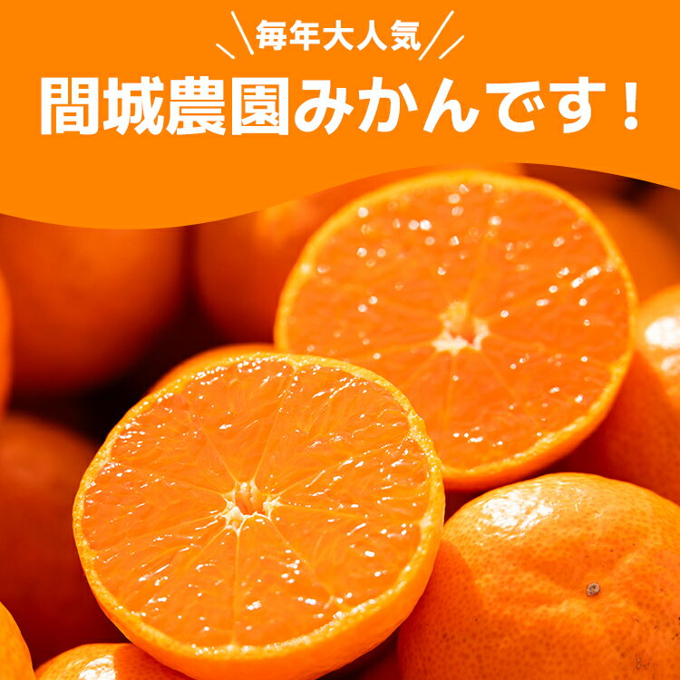 【ふるさと納税】【数量限定】山のてっぺん 間城農園 みかん 約3kg - 送料無料 温州みかん ミカン 蜜柑 フルーツ 柑橘 果物 くだもの 甘い あまい おいしい 期間限定 配送日指定不可 高知県 香南市【常温】ms-0045 サムネイル2