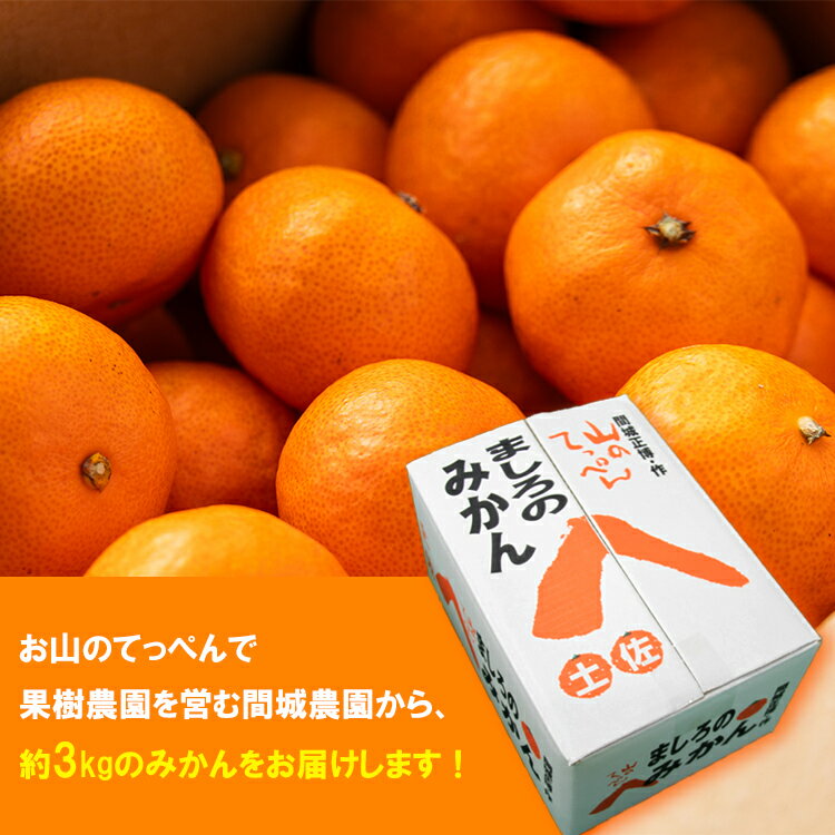 【ふるさと納税】【数量限定】山のてっぺん 間城農園 みかん 約3kg - 送料無料 温州みかん ミカン 蜜柑 フルーツ 柑橘 果物 くだもの 甘い あまい おいしい 期間限定 配送日指定不可 高知県 香南市【常温】ms-0045 サムネイル3
