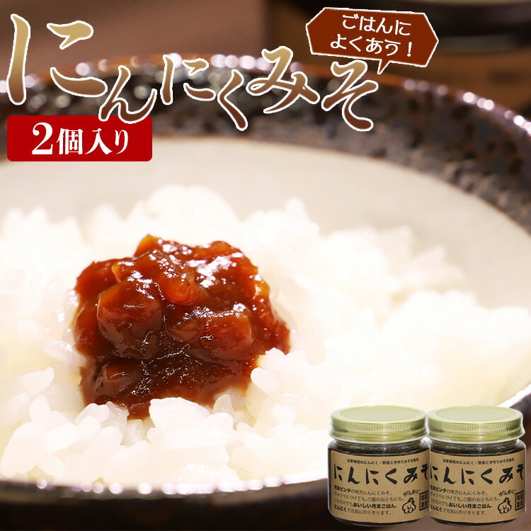 南国農家 ごはんによくあう！にんにくみそ2個入り - 送料無料 のし対応可 朝食 晩御飯 トッピング 煮込み 隠し味 料理 調味料 特産品 ギフト 贈答 贈り物 高知県香南市【常温】 ng-0007
