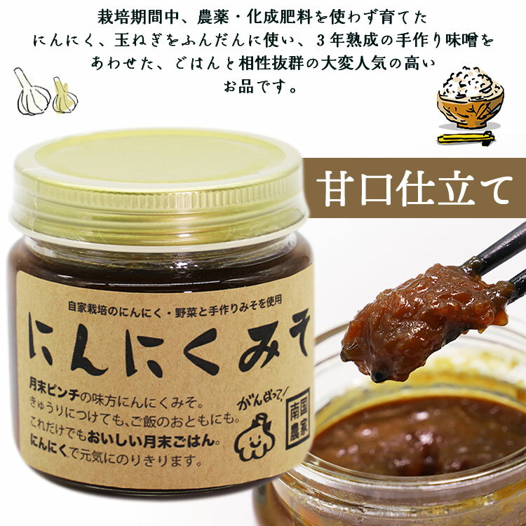 【ふるさと納税】南国農家 ごはんによくあう！にんにくみそ2個入り - 送料無料 のし対応可 朝食 晩御飯 トッピング 煮込み 隠し味 料理 調味料 特産品 ギフト 贈答 贈り物 高知県香南市【常温】 ng-0007 サムネイル2