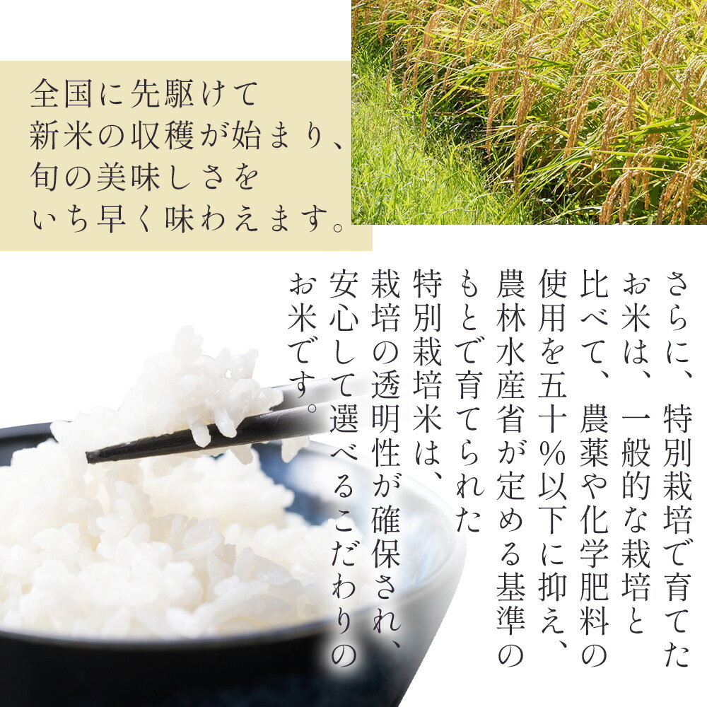 【ふるさと納税】令和7年産 無洗米 コシヒカリ 特別栽培米 真空パック（内容量：計2kg～約10kg）(定期便：1/2/3回)- 国産 米 お米 2キロ こしひかり 白米 どうぞ ごはん おにぎり ご飯 防災 非常食 備蓄 kome 高知県 香南市【常温】 - 画像3