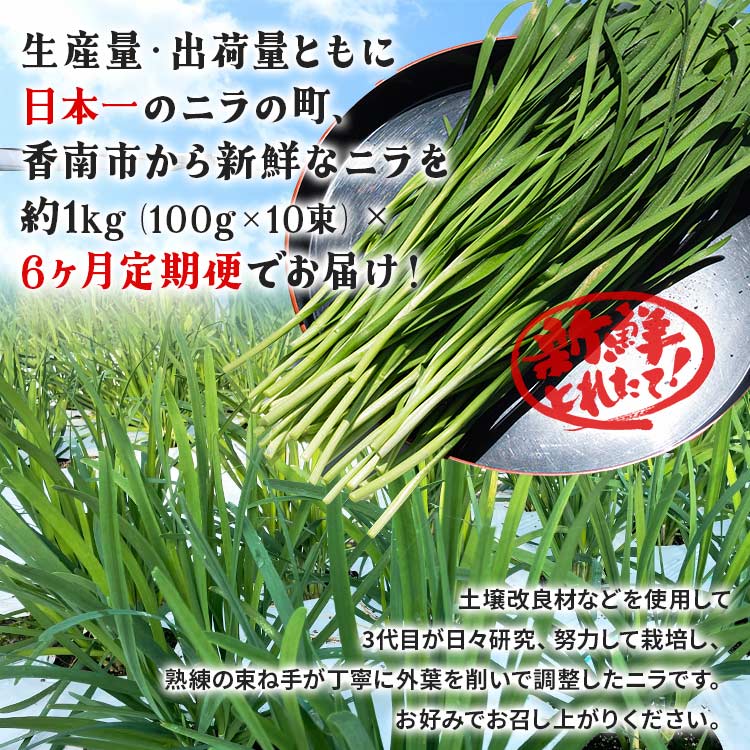 【ふるさと納税】6ヶ月定期便 香南市産 ニラ 合計約6kg（1kg×6回） - にら 韮 生 野菜 やさい 香味野菜 葉物 新鮮 シャキシャキ食感 肉厚 にくあつ 料理 アレンジ 炒めもの 炒め物 煮物 鍋 なべ もつ鍋 産地直送 国産 おきゃんぴー農園 高知県 香南市【冷蔵】Won-0016 - 画像2