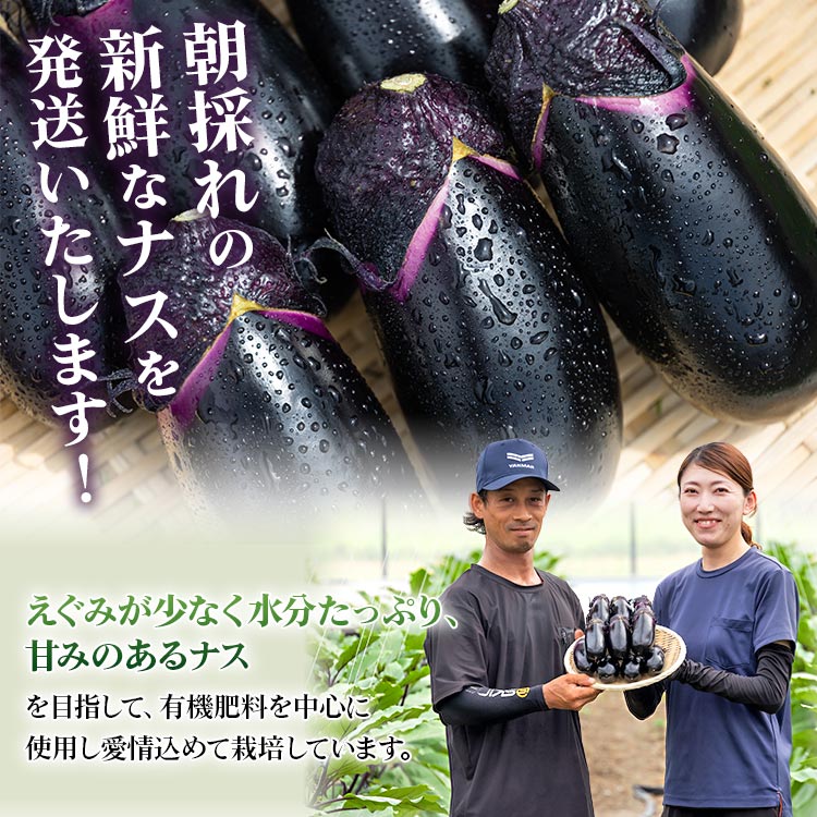 【ふるさと納税】【内容量が選べる】立仙農園 うちのナス 約1.5kg/約3kg/約5kg - なす 茄子 なすび ナスビ 生鮮 野菜 やさい 朝採れ 新鮮 生 1本90g前後 5本ずつ小分け おすそ分け 料理 タタキ 煮びたし 揚げ 味噌 麻婆 焼きナス 炒め物 国産 高知県 香南市【常温】Rrs-0004 - 画像2