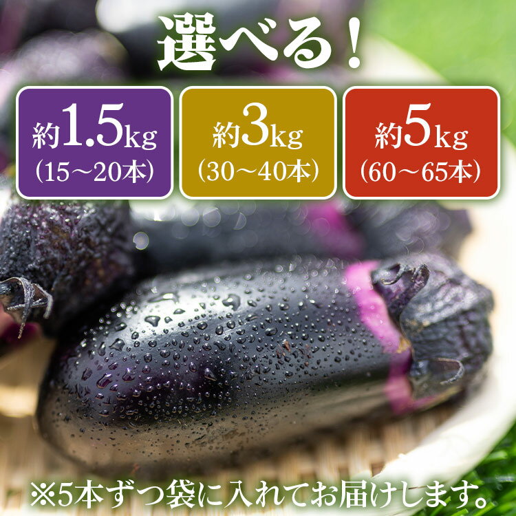 【ふるさと納税】【内容量が選べる】立仙農園 うちのナス 約1.5kg/約3kg/約5kg - なす 茄子 なすび ナスビ 生鮮 野菜 やさい 朝採れ 新鮮 生 1本90g前後 5本ずつ小分け おすそ分け 料理 タタキ 煮びたし 揚げ 味噌 麻婆 焼きナス 炒め物 国産 高知県 香南市【常温】Rrs-0004 - 画像3