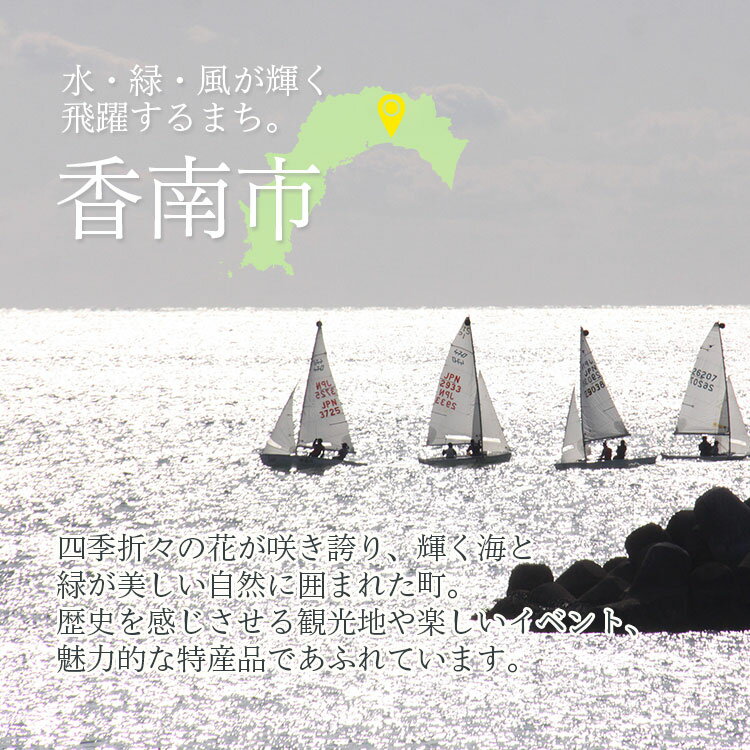 【ふるさと納税】高知県香南市の対象施設で使える楽天トラベルクーポン 寄附額50,000円 （15,000円分） - 香美郡赤岡町 香我美町 野市町 夜須町 吉川村 温泉 旅行 卒業 家族 国内 夫婦 親子 カップル 日本三名泉 女子旅 ゴールデンウィーク GW お盆 お正月 春 夏 冬 休み サムネイル2
