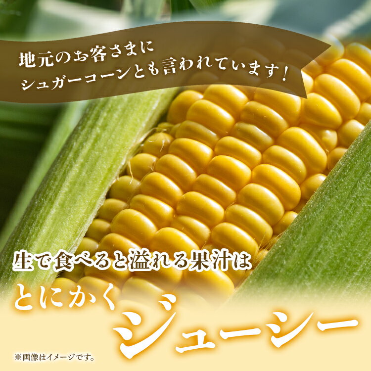 【ふるさと納税】朝どれスイートコーン 2.5kg以上(7～8本) - トウモロコシ とうもろこし 野菜 国産 産地直送 期間限定 季節限定 旬彩ファームやまさき 「2026年5月下旬より順次配送」sy-0001 - 画像3