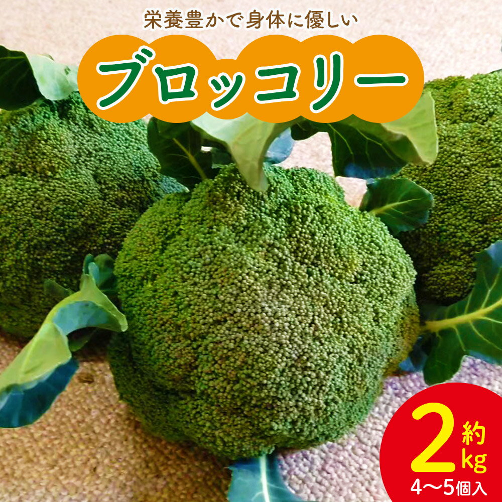 栄養豊かで身体に優しいブロッコリー 約2kg 4〜5個入り - 野菜 やさい 産地直送 国産 旬 朝採れ 新鮮 サラダ スープ シチュー 弁当 おかず 便利 料理 簡単調理 冷凍保存可 高知県 香南市【常温】sy-0010