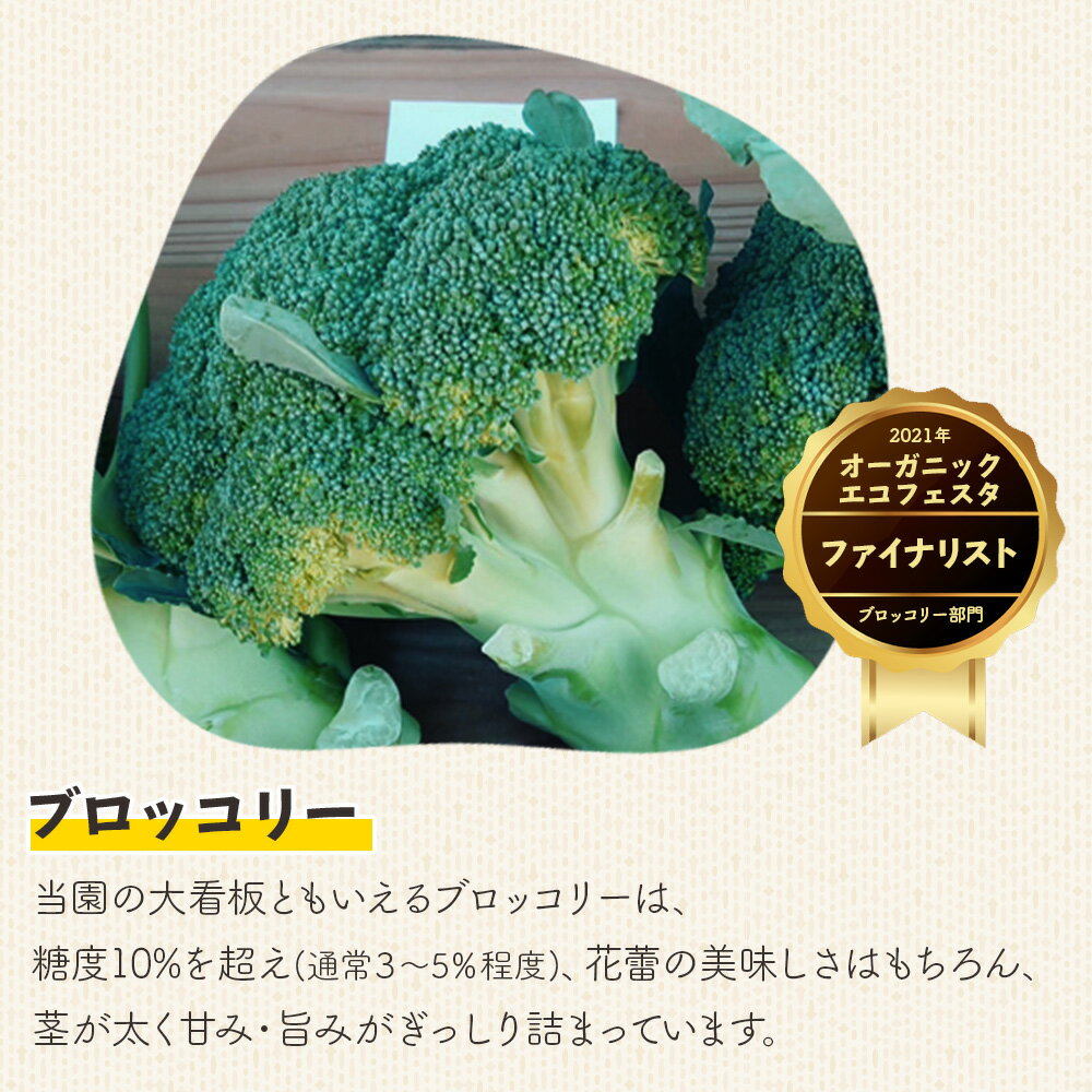 【ふるさと納税】栄養豊かで身体に優しいブロッコリー 約2kg 4〜5個入り - 野菜 やさい 産地直送 国産 旬 朝採れ 新鮮 サラダ スープ シチュー 弁当 おかず 便利 料理 簡単調理 冷凍保存可 高知県 香南市【常温】sy-0010 - 画像2