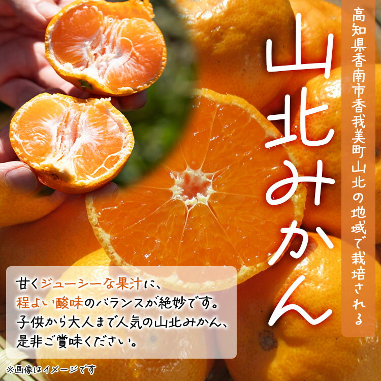【ふるさと納税】【内容量が選べる】家庭用 山北みかん（露地・S〜Mサイズ）約5kg/約10kg/約15kg - 送料無料 露地栽培 柑橘 果物 フルーツ ミカン 蜜柑 期間限定 季節限定 家庭用 高橋農園 国産 特産品 高知県 香南市【常温】Rth-0013 サムネイル2