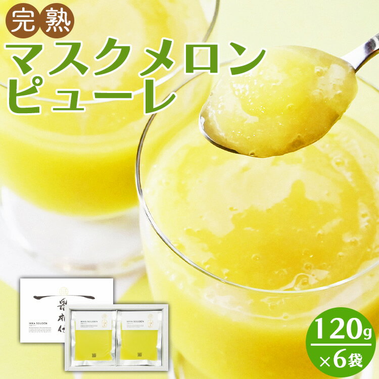 完熟マスクメロンピューレ 120g×6袋 - テレビ「めざましどようび キクエがキクヨ！」で紹介 JALファーストクラス機内食に採用 果物 くだもの フルーツ めろん 果汁100％ まるごと アイス シャーベット デザート スイーツ 篤農 高知県 香南市【冷凍】tn-0007