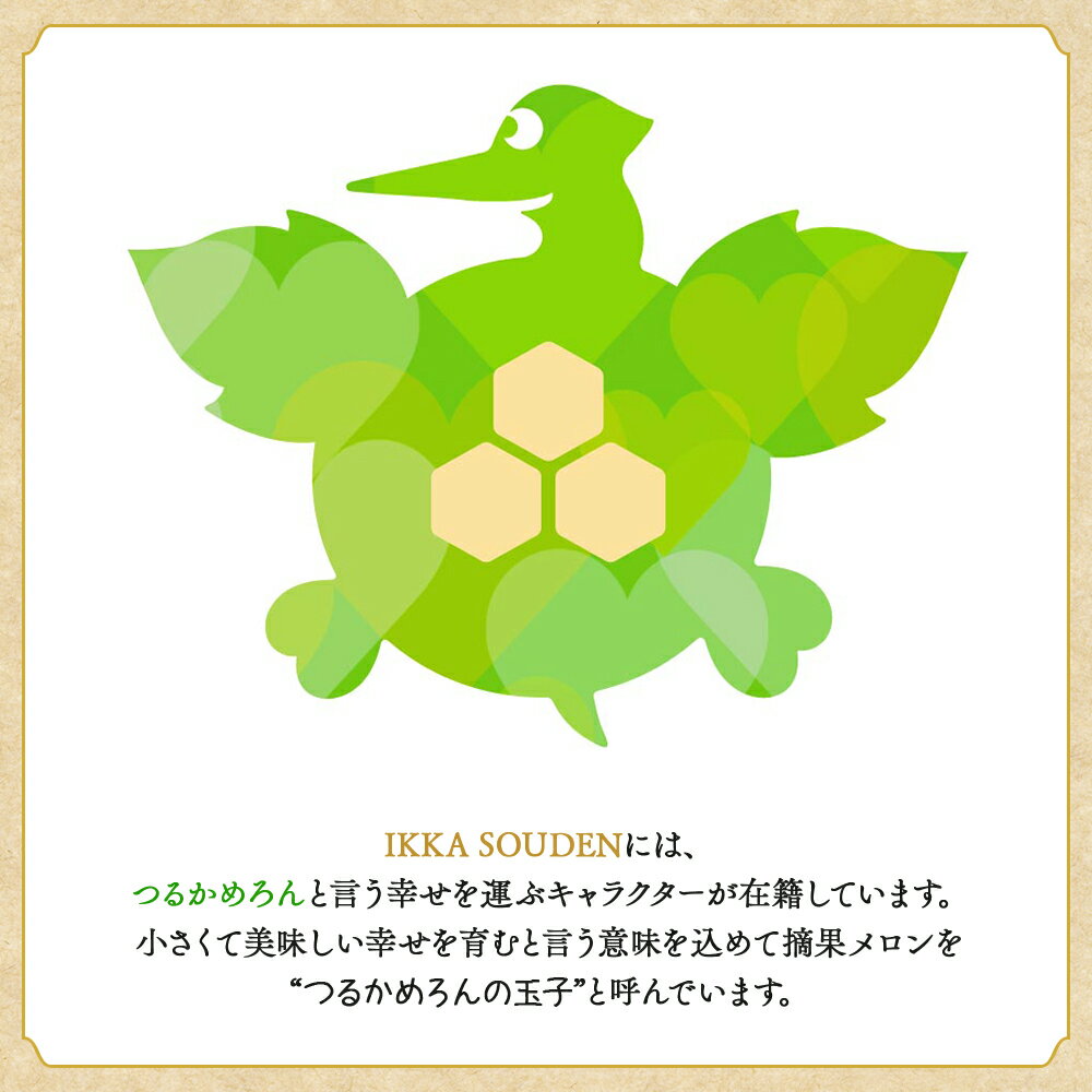 【ふるさと納税】つるかめろんの玉子(摘果メロン) （選べる内容量：2kg／4.5kg／10kg） - マスクメロン めろん フルーツ くだもの 果物 おやつ おつまみ アレンジ お漬物 お漬け物 炒め物 天ぷら 子メロン 小さい 産地直送 篤農 高知県 香南市【冷蔵】 サムネイル3