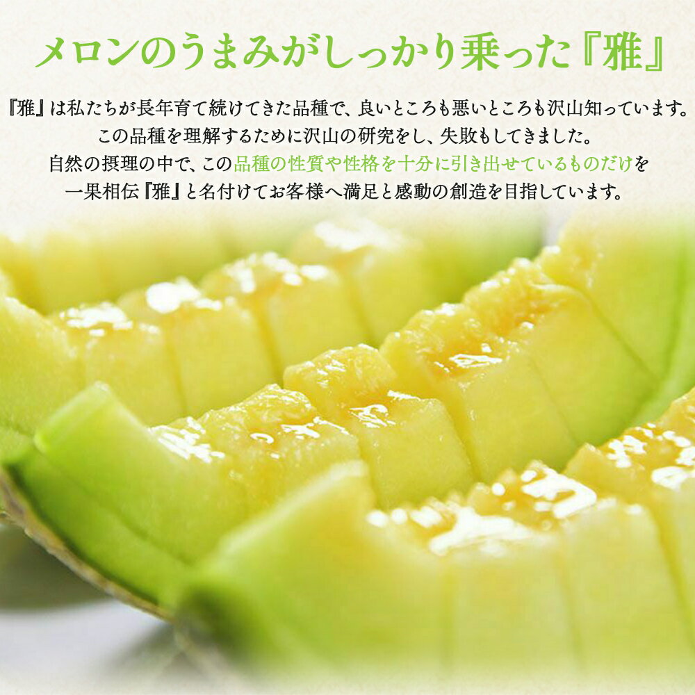 【ふるさと納税】【先行予約受付】メロン 赤肉 青肉 家庭用 2玉 高級 雅&妃 マスクメロン 各1玉 - 青肉メロン 赤肉メロン セット めろん フルーツ くだもの 果物 完熟 おやつ ご褒美 果肉 果汁 ジューシー 果実 甘い 糖度 産地直送 篤農 tn-0026 サムネイル2