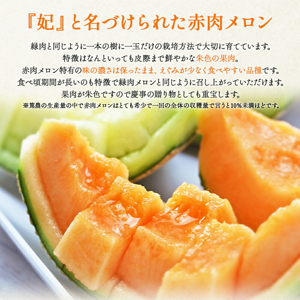 【ふるさと納税】【先行予約受付】メロン 赤肉 青肉 家庭用 2玉 高級 雅&妃 マスクメロン 各1玉 - 青肉メロン 赤肉メロン セット めろん フルーツ くだもの 果物 完熟 おやつ ご褒美 果肉 果汁 ジューシー 果実 甘い 糖度 産地直送 篤農 tn-0026 サムネイル3