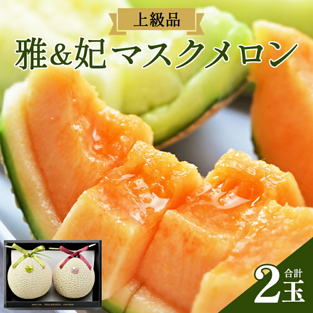 【先行予約受付】【上級品】雅&妃 マスクメロン 各1玉(合計2玉) - 青肉メロン 赤肉メロン セット めろん フルーツ くだもの 果物 完熟 おやつ 化粧箱入り ご褒美 果肉 果汁 ジューシー 果実 甘い 糖度 産地直送 篤農 高知県 香南市【常温】tn-0027