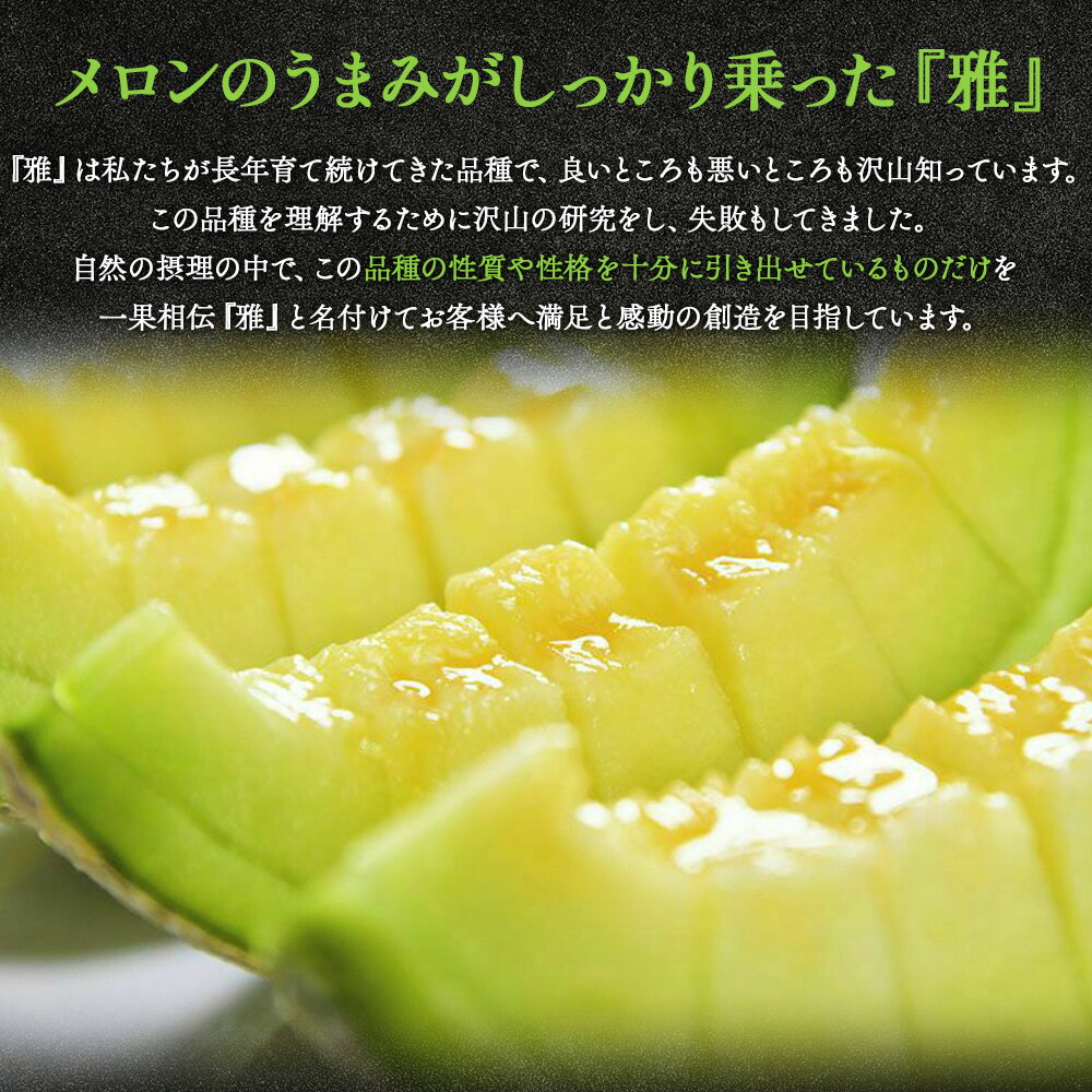 【ふるさと納税】【先行予約受付】【上級品】雅&妃 マスクメロン 各1玉(合計2玉) - 青肉メロン 赤肉メロン セット めろん フルーツ くだもの 果物 完熟 おやつ 化粧箱入り ご褒美 果肉 果汁 ジューシー 果実 甘い 糖度 産地直送 篤農 高知県 香南市【常温】tn-0027 サムネイル2