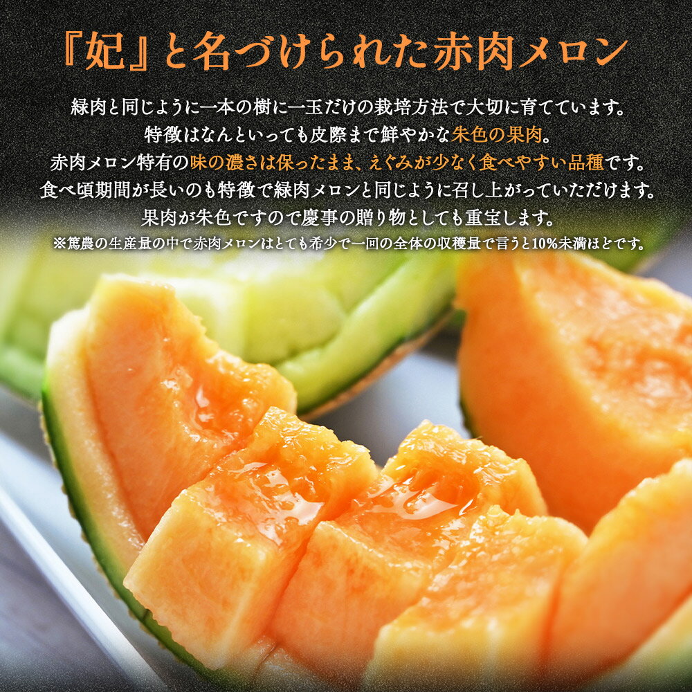 【ふるさと納税】【先行予約受付】【上級品】雅&妃 マスクメロン 各1玉(合計2玉) - 青肉メロン 赤肉メロン セット めろん フルーツ くだもの 果物 完熟 おやつ 化粧箱入り ご褒美 果肉 果汁 ジューシー 果実 甘い 糖度 産地直送 篤農 高知県 香南市【常温】tn-0027 サムネイル3