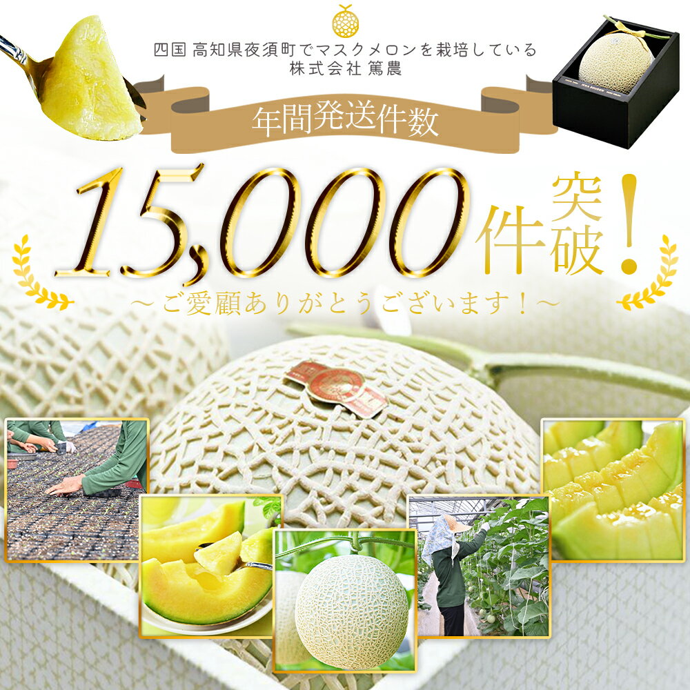 【ふるさと納税】【年末配送可能】一果相伝 マスクメロン 家庭用 1玉／2玉／3玉 - 選べる 定期便 果物 フルーツ めろん 青肉 自宅用 ジューシー 果汁 至福 美味しい 甘い あまい 篤農 産地直送 年末発送 年内配送 高知県 香南市【常温】レビューキャンペーン実施中 サムネイル2