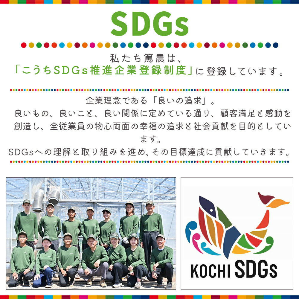 【ふるさと納税】完熟マスクメロンピューレ 120g×6袋 - テレビ「めざましどようび キクエがキクヨ！」で紹介 JALファーストクラス機内食に採用 果物 くだもの フルーツ めろん 果汁100％ まるごと アイス シャーベット デザート スイーツ 篤農 高知県 香南市【冷凍】tn-0007 サムネイル3