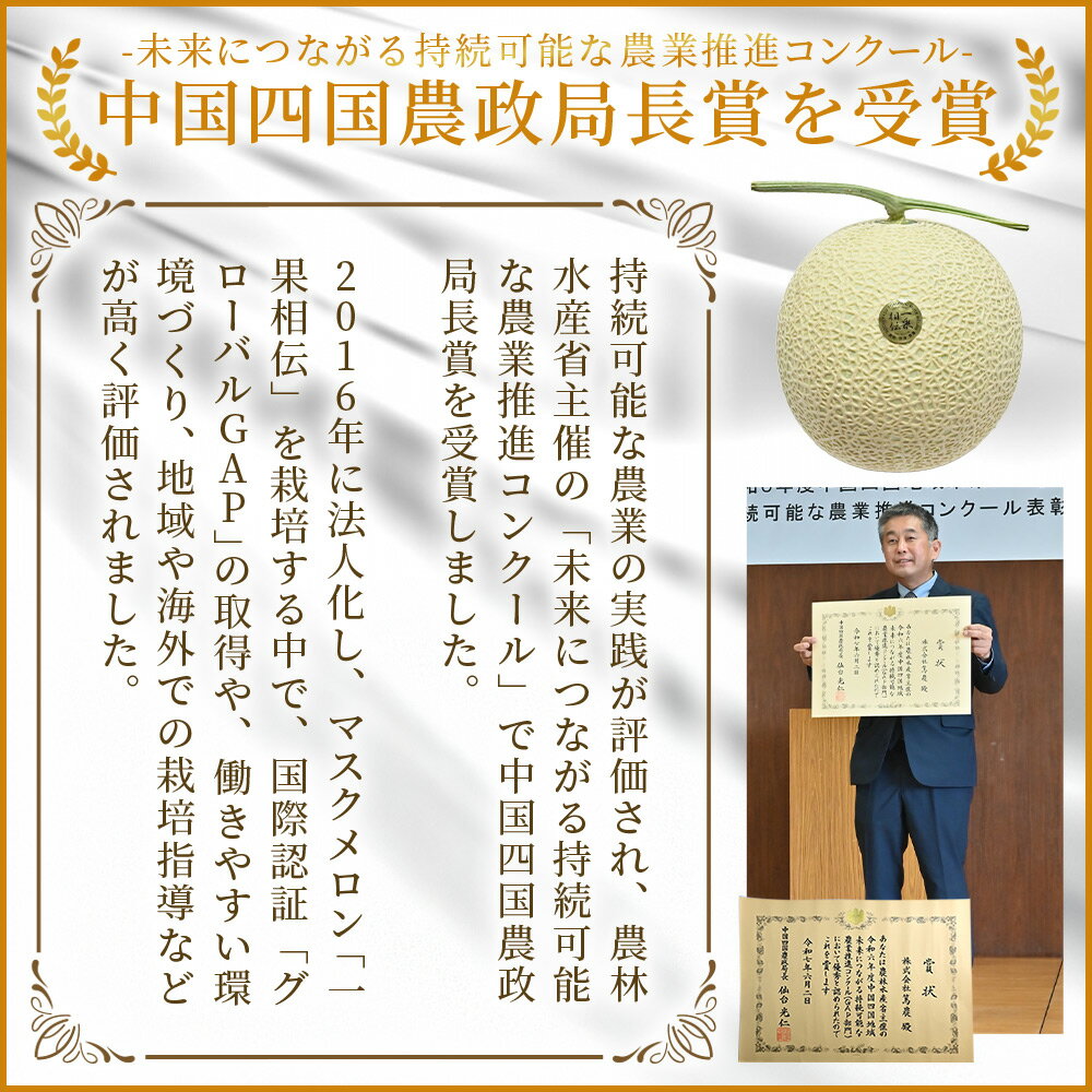 【ふるさと納税】【年末配送可能】一果相伝 マスクメロン 家庭用 1玉／2玉／3玉 - 選べる 定期便 果物 フルーツ めろん 青肉 自宅用 ジューシー 果汁 至福 美味しい 甘い あまい 篤農 産地直送 年末発送 年内配送 高知県 香南市【常温】レビューキャンペーン実施中 サムネイル3