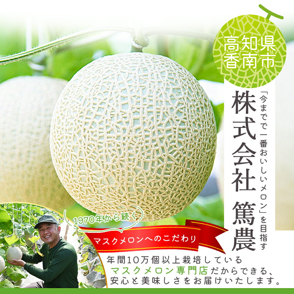 【ふるさと納税】完熟マスクメロンピューレ 120g×6袋 - テレビ「めざましどようび キクエがキクヨ！」で紹介 JALファーストクラス機内食に採用 果物 くだもの フルーツ めろん 果汁100％ まるごと アイス シャーベット デザート スイーツ 篤農 高知県 香南市【冷凍】tn-0007 サムネイル2